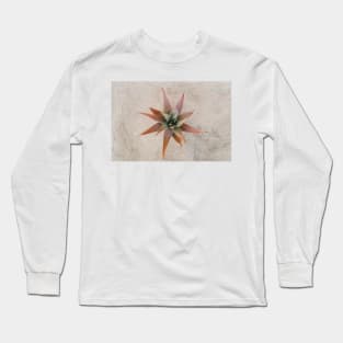 Mexico Succulent Long Sleeve T-Shirt